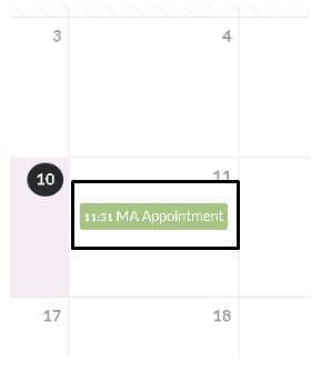 3_click_on_appt_date_in_calendar.jpg