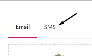20_edit_and_send_sms.jpg