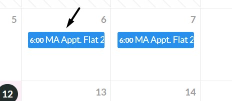 3_appointment_date.jpg